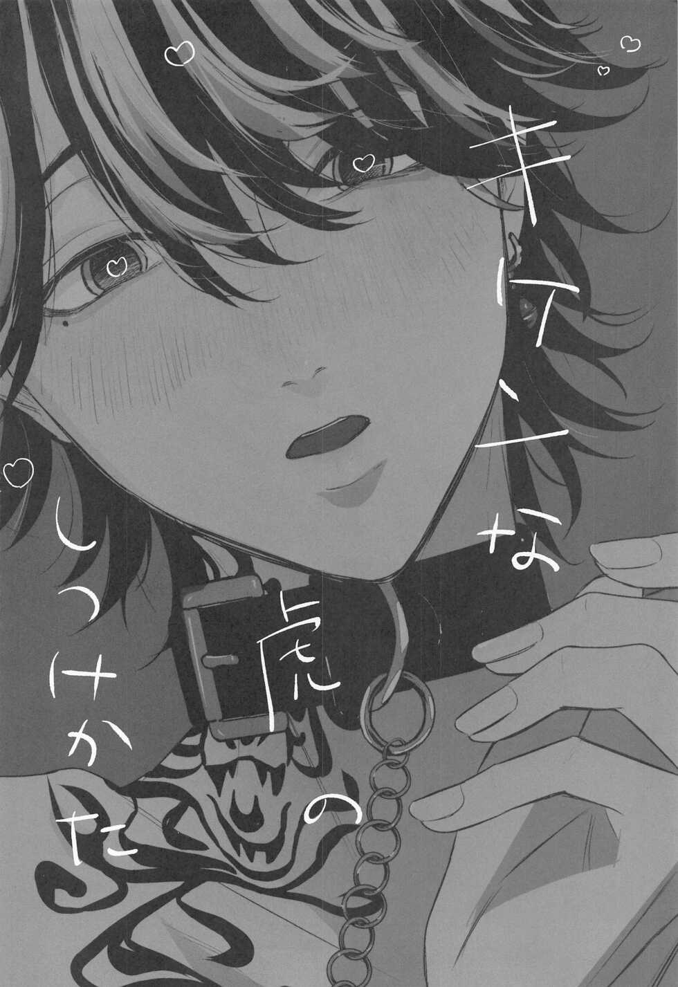 (Tokyo Revive 2) [Itsumo Tokokara (Jirou)] Kiken na Tora no Shitsukekata (Tokyo Revengers) - Page 3