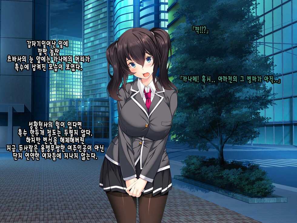 [Tori no Oishii Tokoro (Torisan)] Seikou Tenshi Treat Altherr ~Inyoku Kansen~ | 성황천사 트리트 알테일 ~음욕감염~ [Korean] - Page 14