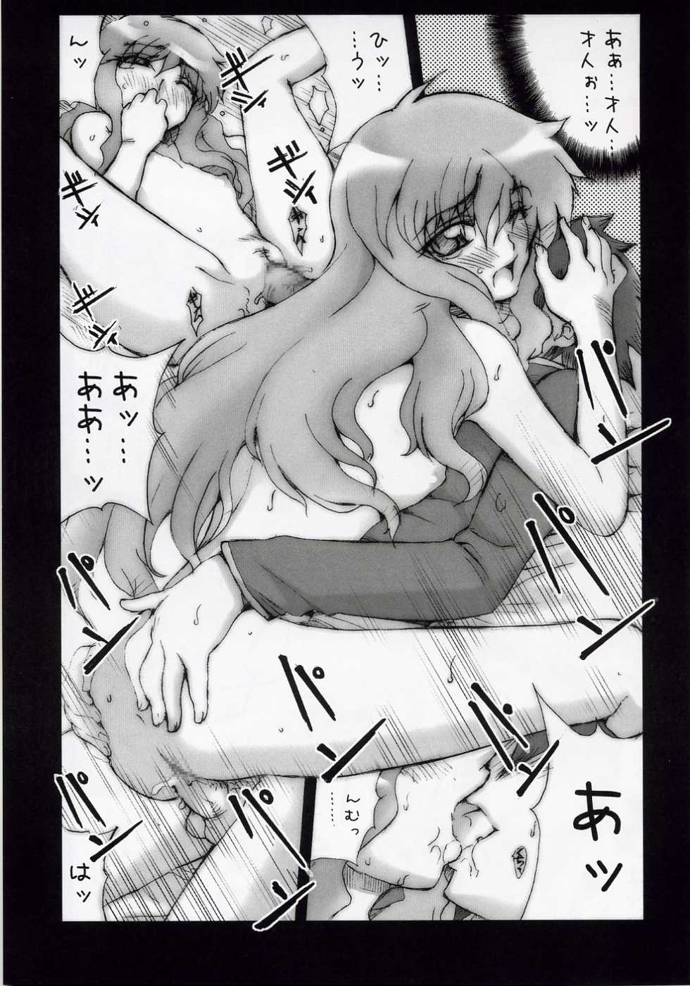 (SC33) [MGW (Isou Doubaku)] Zerol Production Model Version 1.5 (Zero no Tsukaima) - Page 16