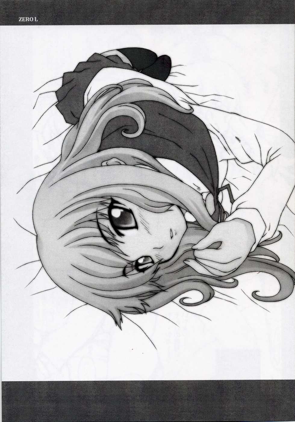 (SC33) [MGW (Isou Doubaku)] Zerol Production Model Version 1.5 (Zero no Tsukaima) - Page 20