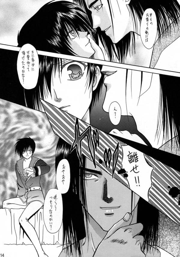 (C54) [Agasutia (Miyabi Yutaka)] Yume no Atosaki (Tales of Destiny) - Page 12