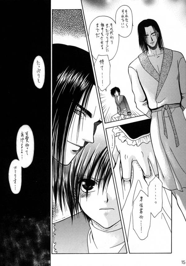 (C54) [Agasutia (Miyabi Yutaka)] Yume no Atosaki (Tales of Destiny) - Page 13