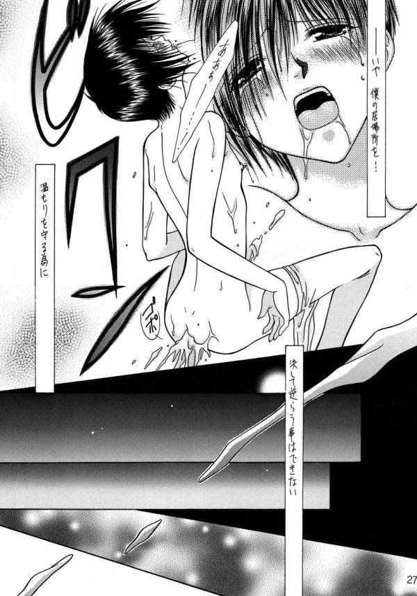 (C54) [Agasutia (Miyabi Yutaka)] Yume no Atosaki (Tales of Destiny) - Page 25