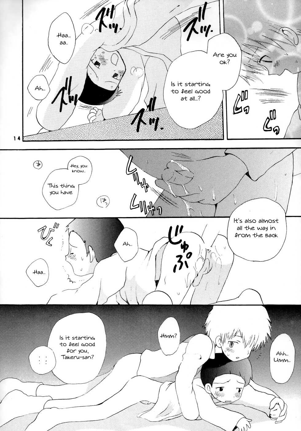[Kuru Guru DNA (Hoshiai Hilo)] Seijitsu Na Hon (Digimon Adventure 02) [English] {Chin²} - Page 13