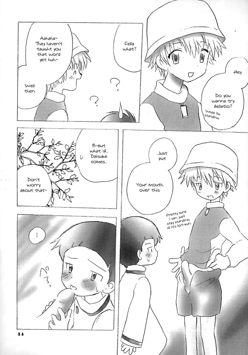[Kuru Guru DNA (Hoshiai Hilo)] Seijitsu Na Hon (Digimon Adventure 02) [English] {Chin²} - Page 35