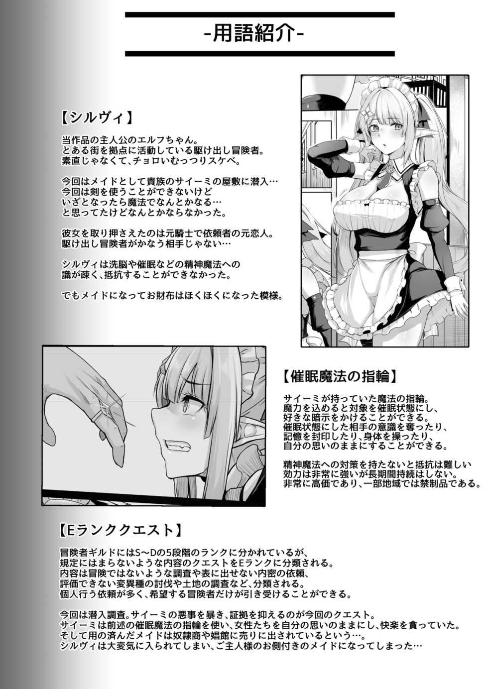 [ZIGZAG (Hirno)] ELFIN QUEST #Maid Saimin Ryoujoku Hen [Digital] - Page 31