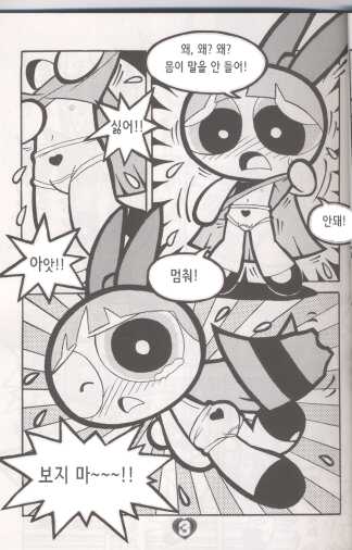 (C60) [Hayato-ya (Sakamoto Hayato)] THE PUFF PUFF GIRLS (The Powerpuff Girls) [Korean] - Page 5