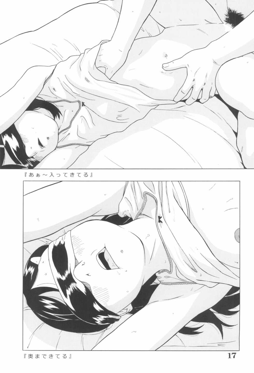 (C84) [Momonga Club (Hayashibara Hikari)] Ahiru - Page 19