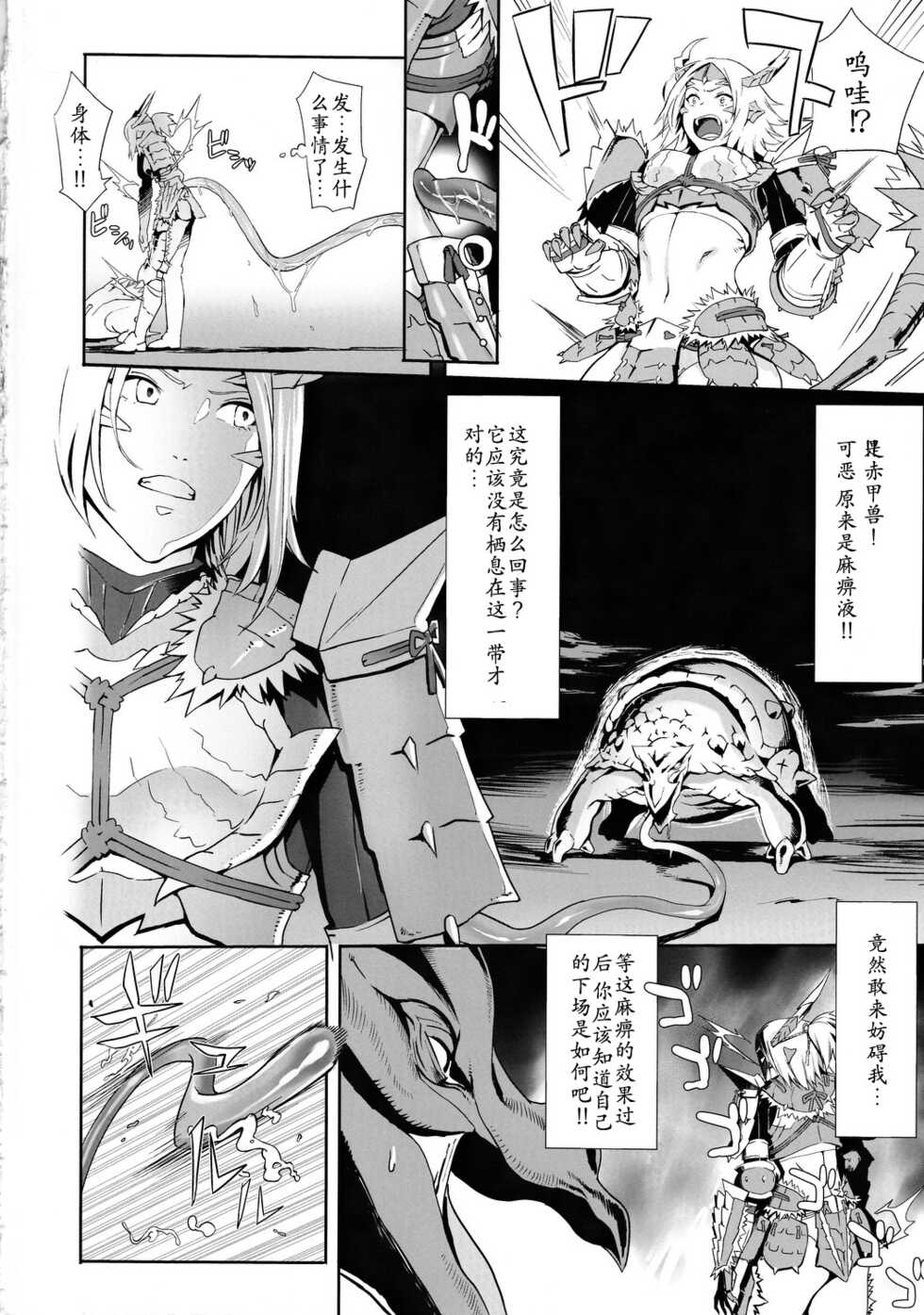 (C80) [B☆STROKE (Hijiki)] Zinogre Hazard (Monster Hunter Portable 3) [Chinese] - Page 3