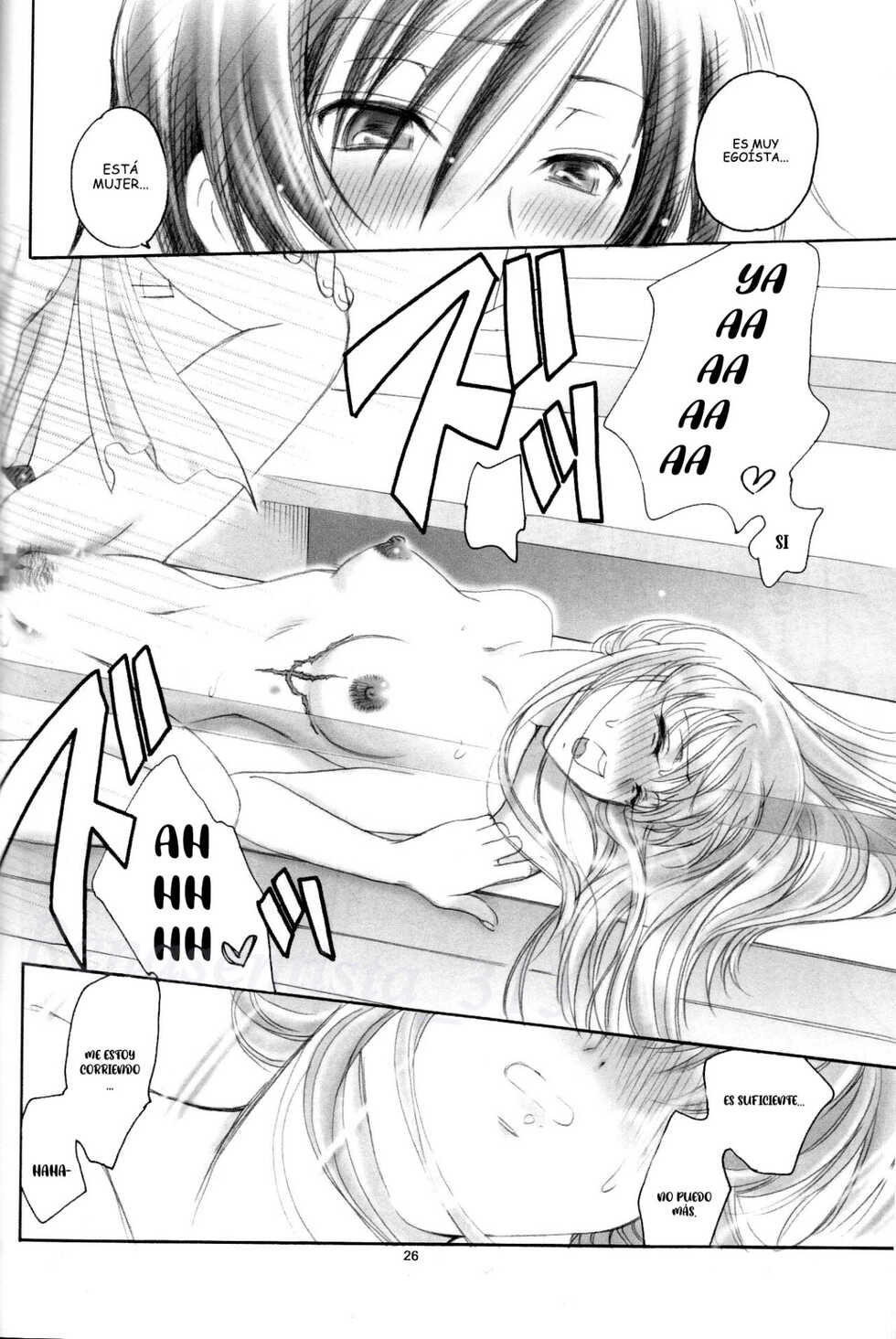 (SUPER18) [Yamaguchirou (Yamaguchi Shinji)] LC (CODE GEASS: Lelouch of the Rebellion) [Spanish] - Page 25