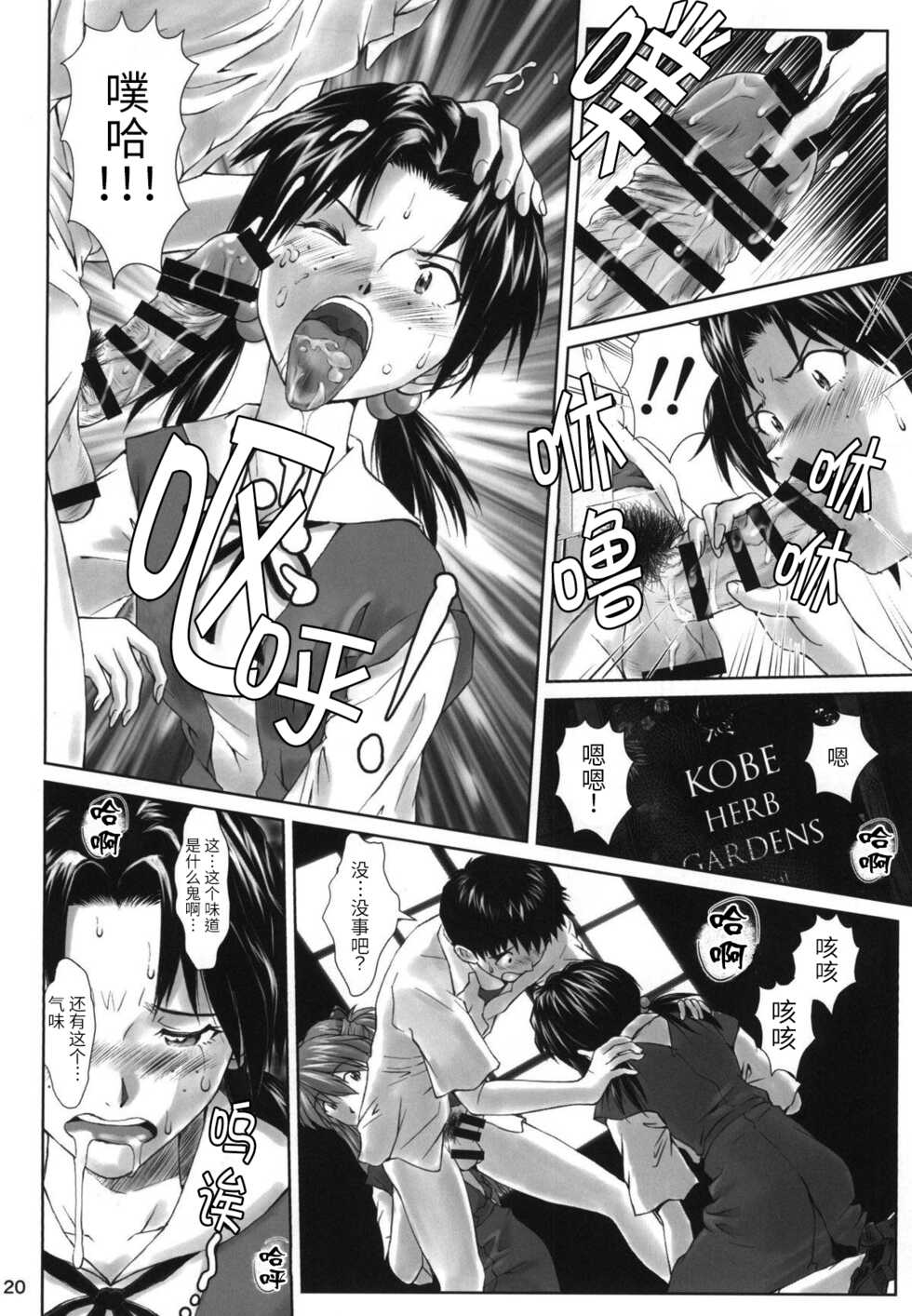 (C94) [Tengu no Tsuzura (Kuro Tengu)] Let's share it (Neon Genesis Evangelion) [Chinese] - Page 19