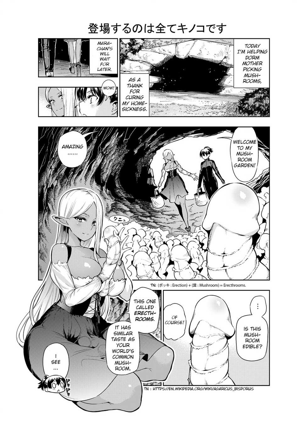 [Kawakami Masaki] Futanari no Elf (English) - Page 25