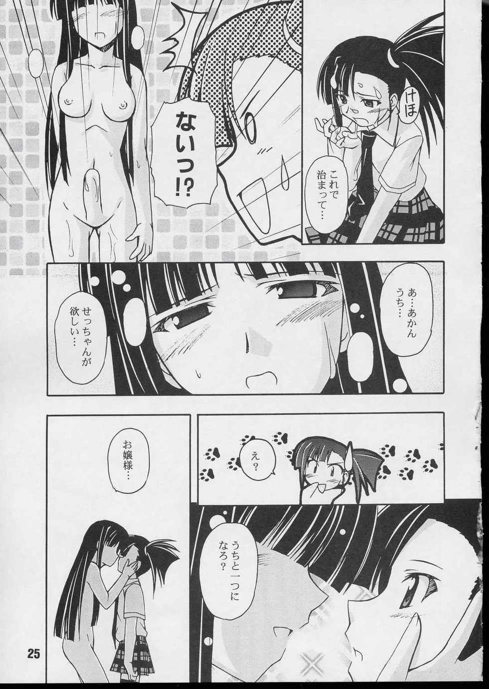 (CR35) [Shinohara Heavy Industry (Various)] Negina. 3 (Mahou Sensei Negima!) - Page 24