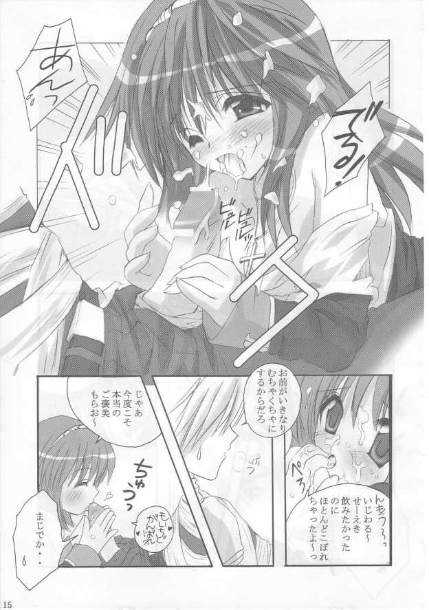 (C65) [MiyuMiyu Project (Kanna Satsuki)] Ai ni oboreru tsukiyo II (Ragnarok Online) - Page 14