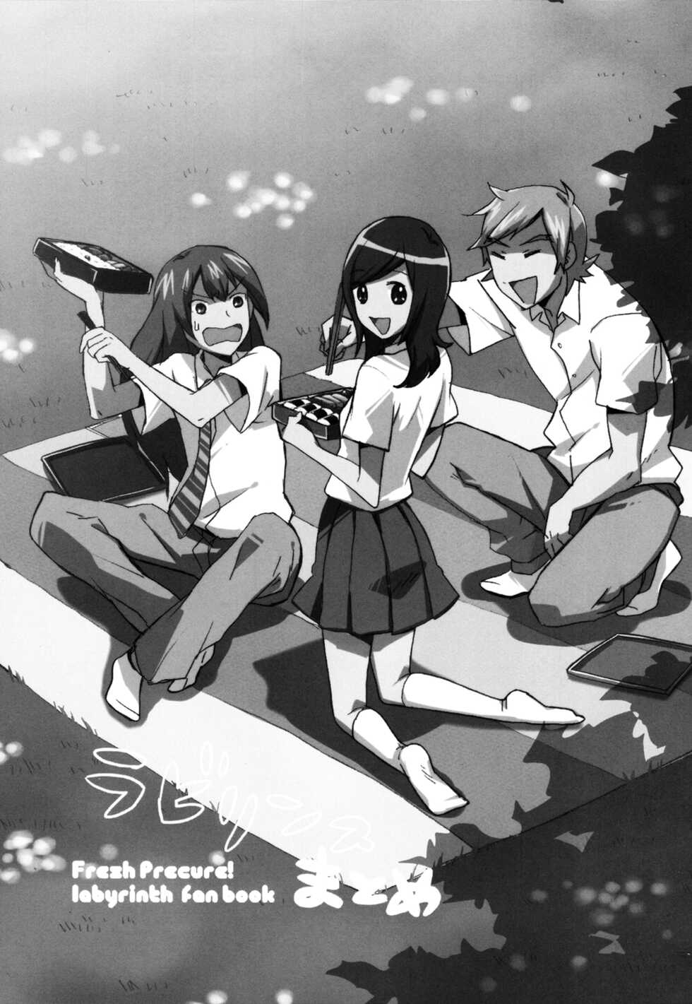 (C78) [Toridrill (Pama, Soisoosu)] Labyrinth Matome (Fresh PreCure!) - Page 2