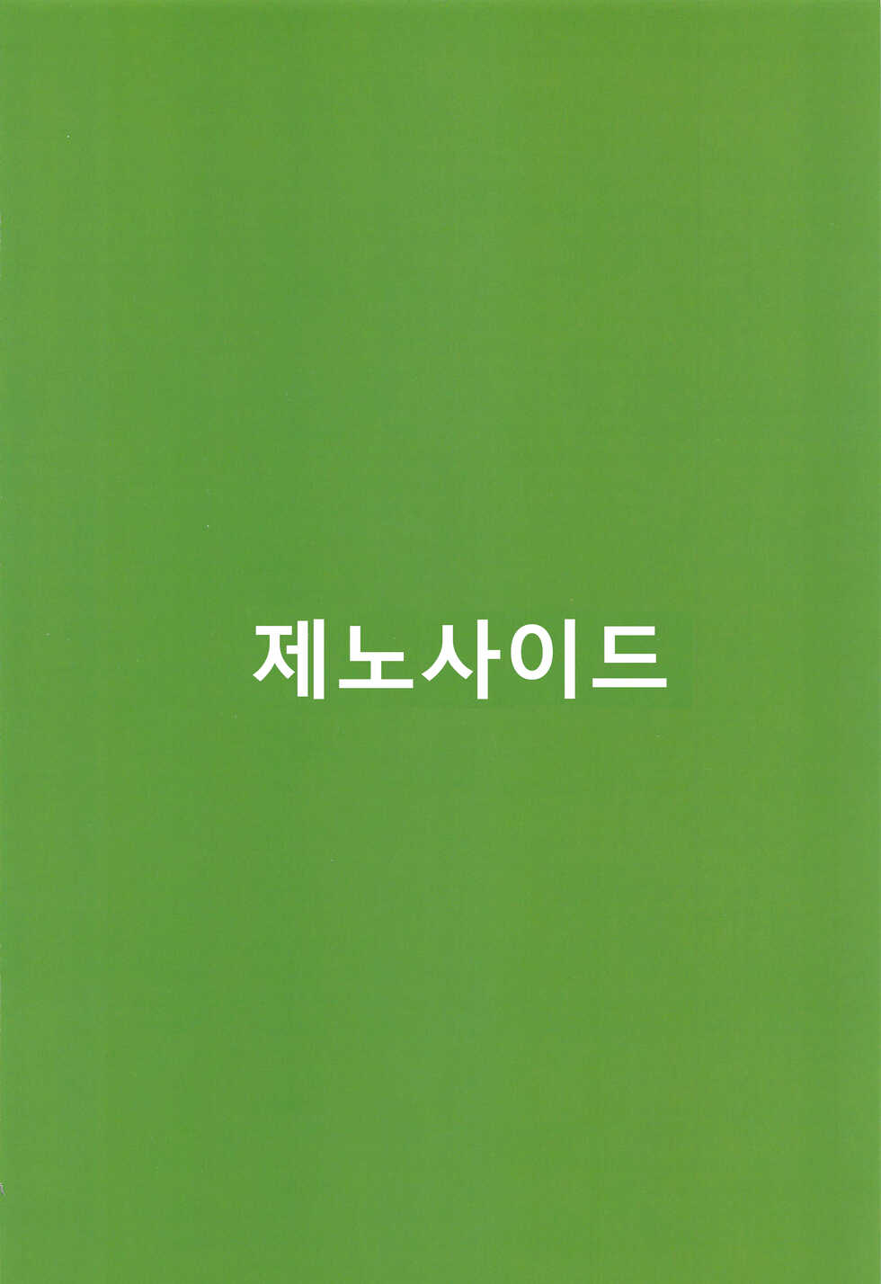(Kouroumu 17) [Zenoside (Zeno)] Idobatakaigi (Touhou Project) [Korean] - Page 26