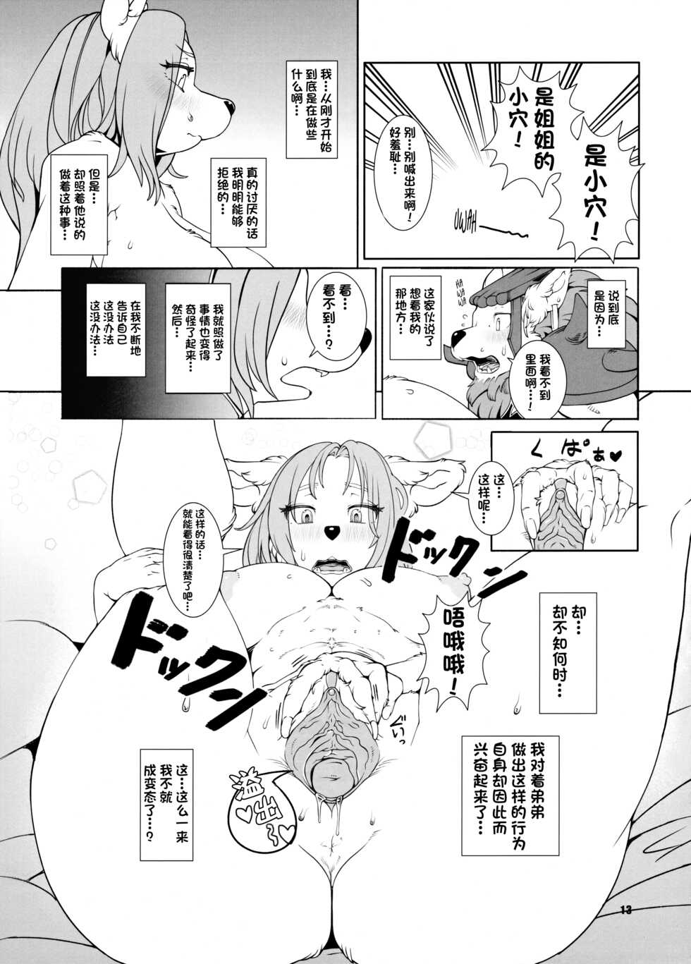 (Fur-st 7) [Kemono Ekaki no Kousoku 2 (Sindoll)] Re: Temptation (Seiken Densetsu Legend of Mana) [Chinese] [单推辛豆x真不可视汉化组] [Decensored] - Page 14