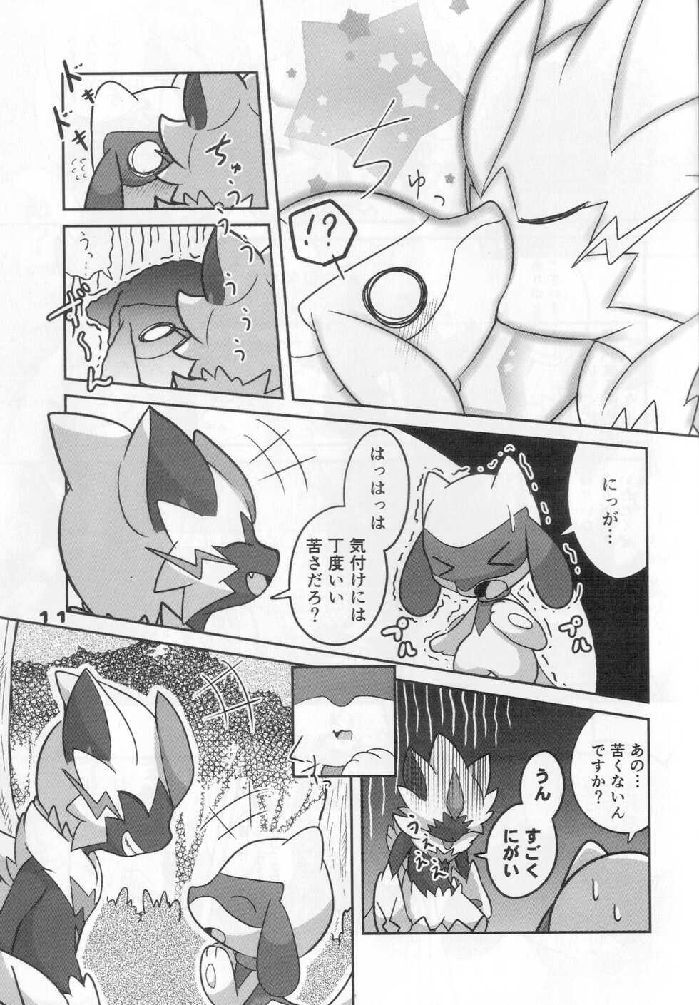 (C95)[Kajigurumi (Kajiura)]Namida Ryuseigun(Pokémon) - Page 10