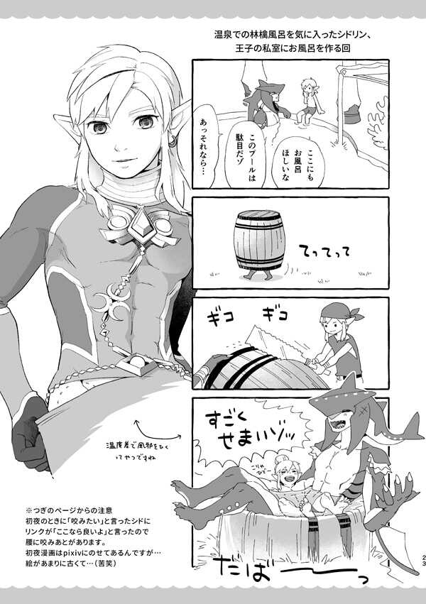 [tsugumi_pp (Tsugumi)] Water (The Legend of Zelda: Breath of the Wild) [Digital] - Page 22