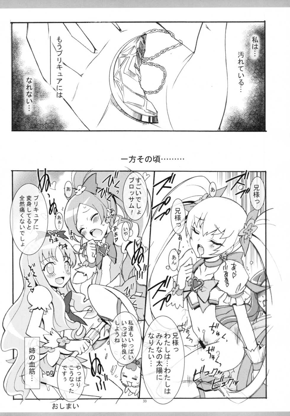 (C78) [Project Harakiri (Kaishaku)] Twilight ~Newmoon~ (Heart Catch Precure!) - Page 31