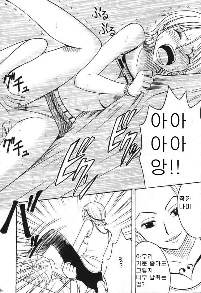 [CRIMSON (Carmine)] VOYAGE (One Piece) [Korean] - Page 19