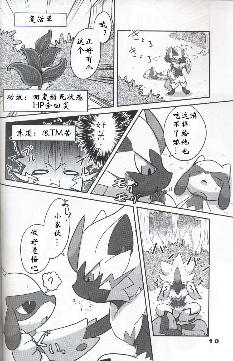 (C95) [Kajigurumi (Kajiura)] Namida Ryuseigun (Pokémon) [Chinese] [虾皮汉化组] - Page 9