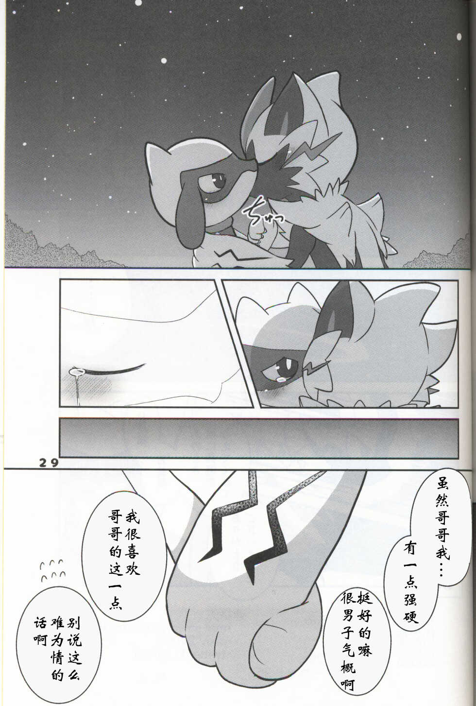 (C95) [Kajigurumi (Kajiura)] Namida Ryuseigun (Pokémon) [Chinese] [虾皮汉化组] - Page 28