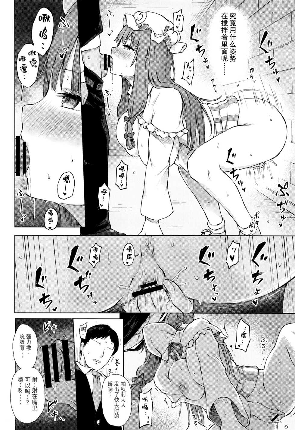 (Shuuki Reitaisai 8) [Tekomenchi (Techi)] Patchouli Knowledge Kaihatsu Kiroku II (Touhou Project) [Chinese] [白杨汉化组] - Page 11