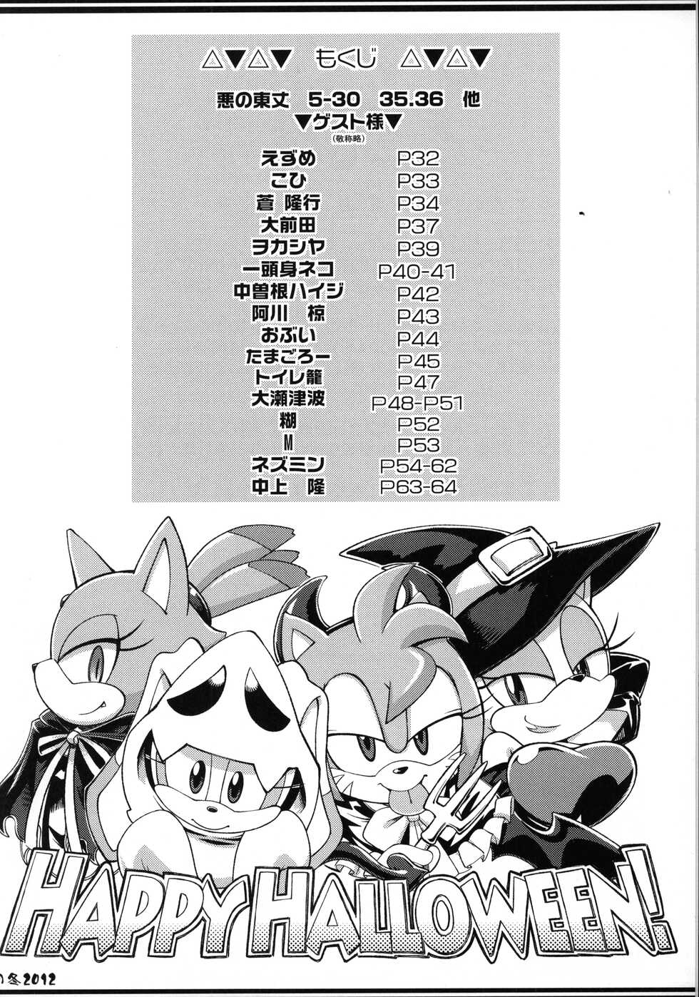 (C83) [Tengai Aku Juumonji (Various)] Ore no Fuyu 2012 | 나의 겨울 2012 (Sonic The Hedgehog) [Korean] - Page 4