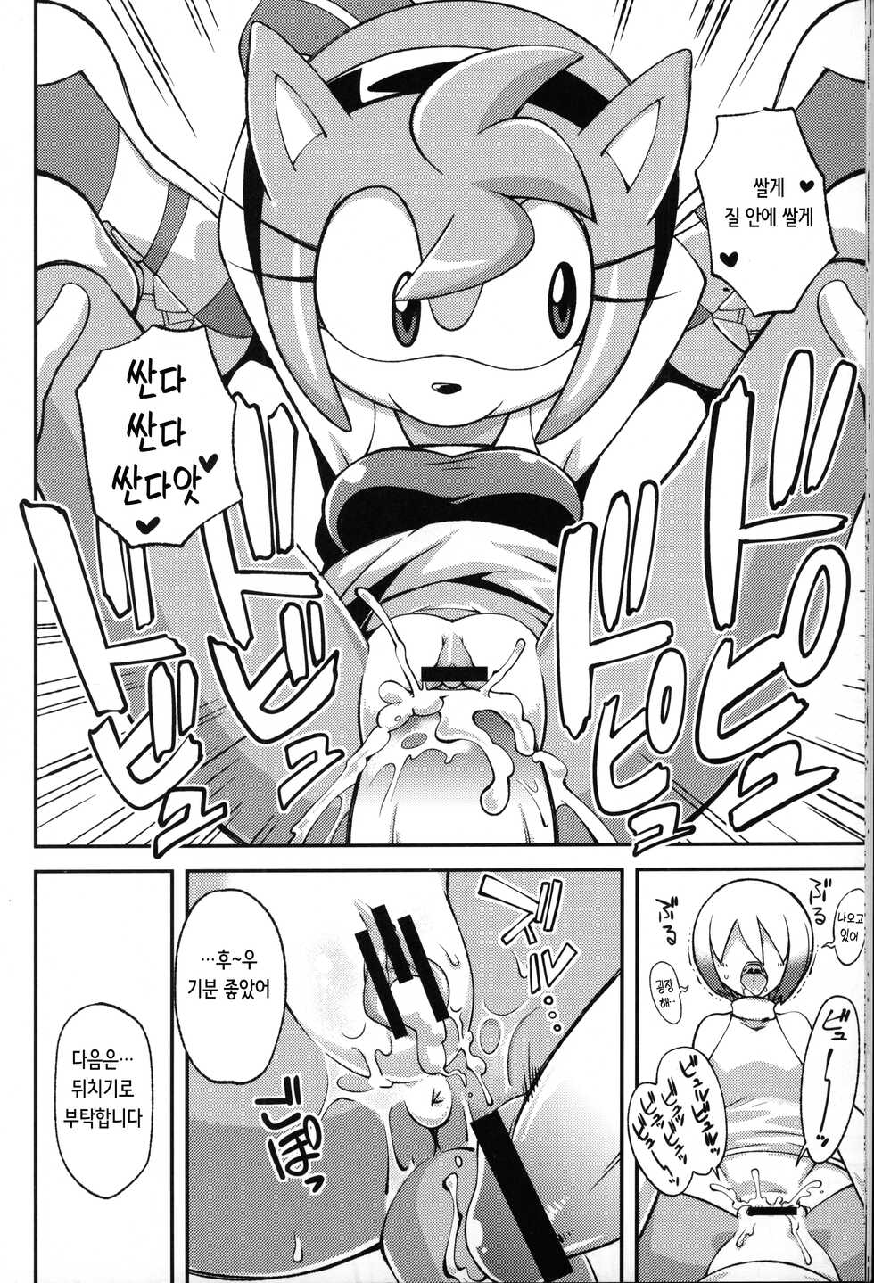 (C83) [Tengai Aku Juumonji (Various)] Ore no Fuyu 2012 | 나의 겨울 2012 (Sonic The Hedgehog) [Korean] - Page 14