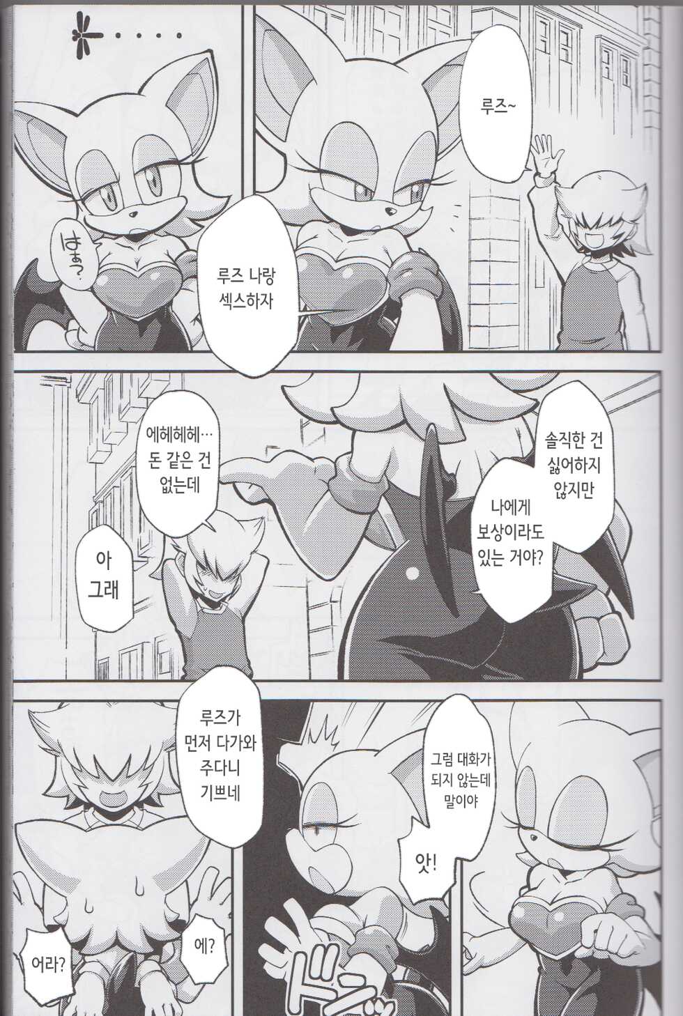 (C85) [Tengai Aku Juumonji (Various)] Ore no Fuyu 2013 | 나의 겨울 2013 (Sonic The Hedgehog) [Korean] - Page 5