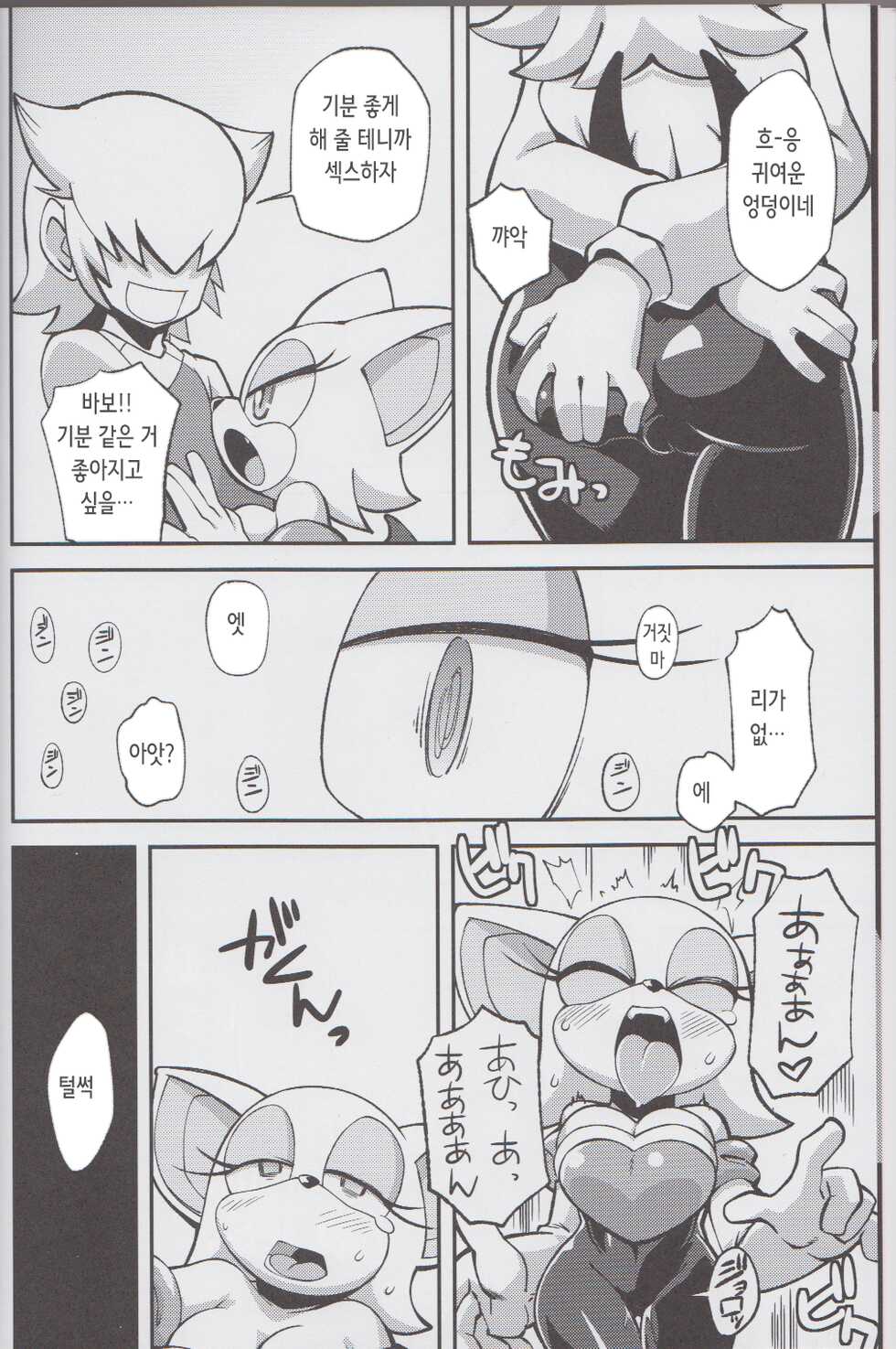 (C85) [Tengai Aku Juumonji (Various)] Ore no Fuyu 2013 | 나의 겨울 2013 (Sonic The Hedgehog) [Korean] - Page 6