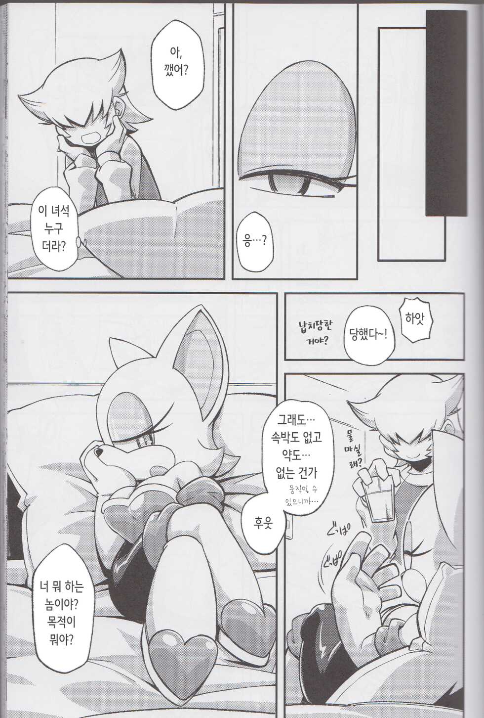 (C85) [Tengai Aku Juumonji (Various)] Ore no Fuyu 2013 | 나의 겨울 2013 (Sonic The Hedgehog) [Korean] - Page 7