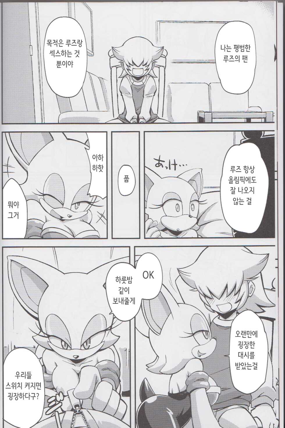 (C85) [Tengai Aku Juumonji (Various)] Ore no Fuyu 2013 | 나의 겨울 2013 (Sonic The Hedgehog) [Korean] - Page 8