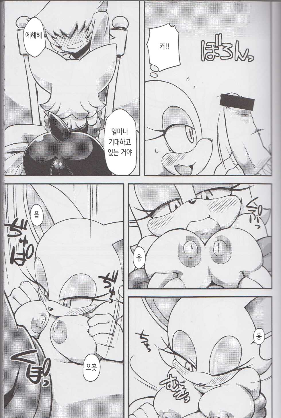 (C85) [Tengai Aku Juumonji (Various)] Ore no Fuyu 2013 | 나의 겨울 2013 (Sonic The Hedgehog) [Korean] - Page 9