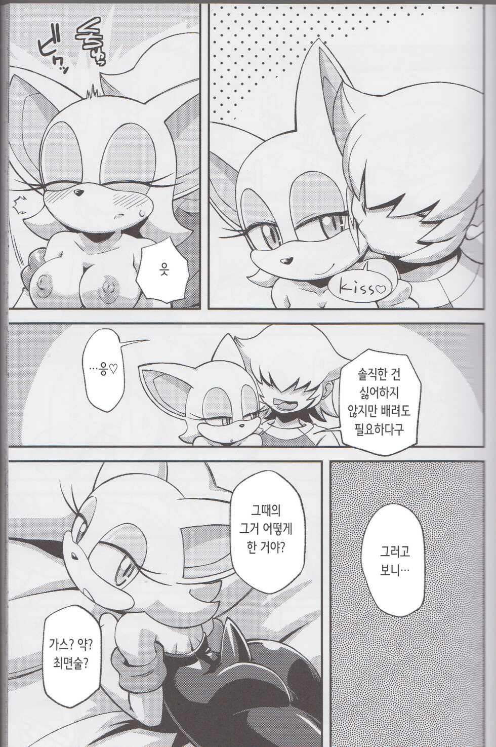 (C85) [Tengai Aku Juumonji (Various)] Ore no Fuyu 2013 | 나의 겨울 2013 (Sonic The Hedgehog) [Korean] - Page 11