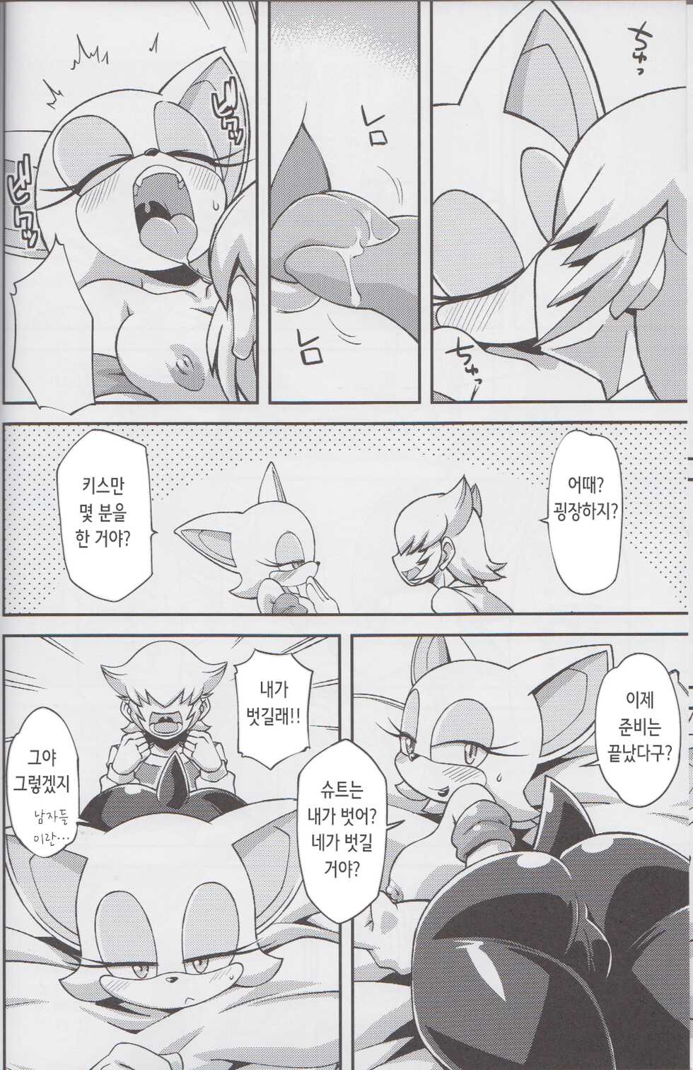 (C85) [Tengai Aku Juumonji (Various)] Ore no Fuyu 2013 | 나의 겨울 2013 (Sonic The Hedgehog) [Korean] - Page 14