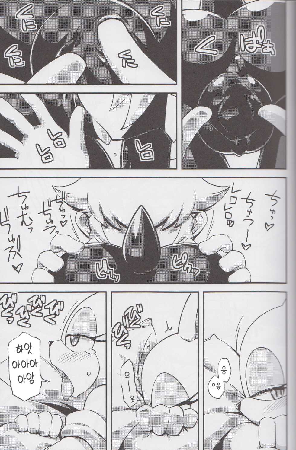 (C85) [Tengai Aku Juumonji (Various)] Ore no Fuyu 2013 | 나의 겨울 2013 (Sonic The Hedgehog) [Korean] - Page 15