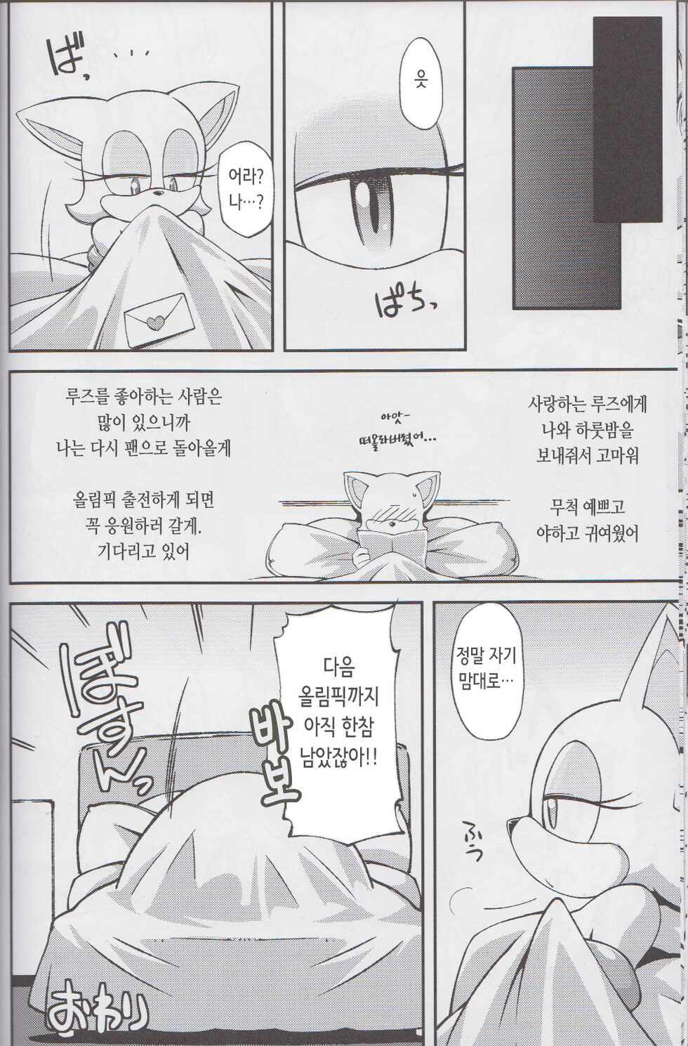 (C85) [Tengai Aku Juumonji (Various)] Ore no Fuyu 2013 | 나의 겨울 2013 (Sonic The Hedgehog) [Korean] - Page 26