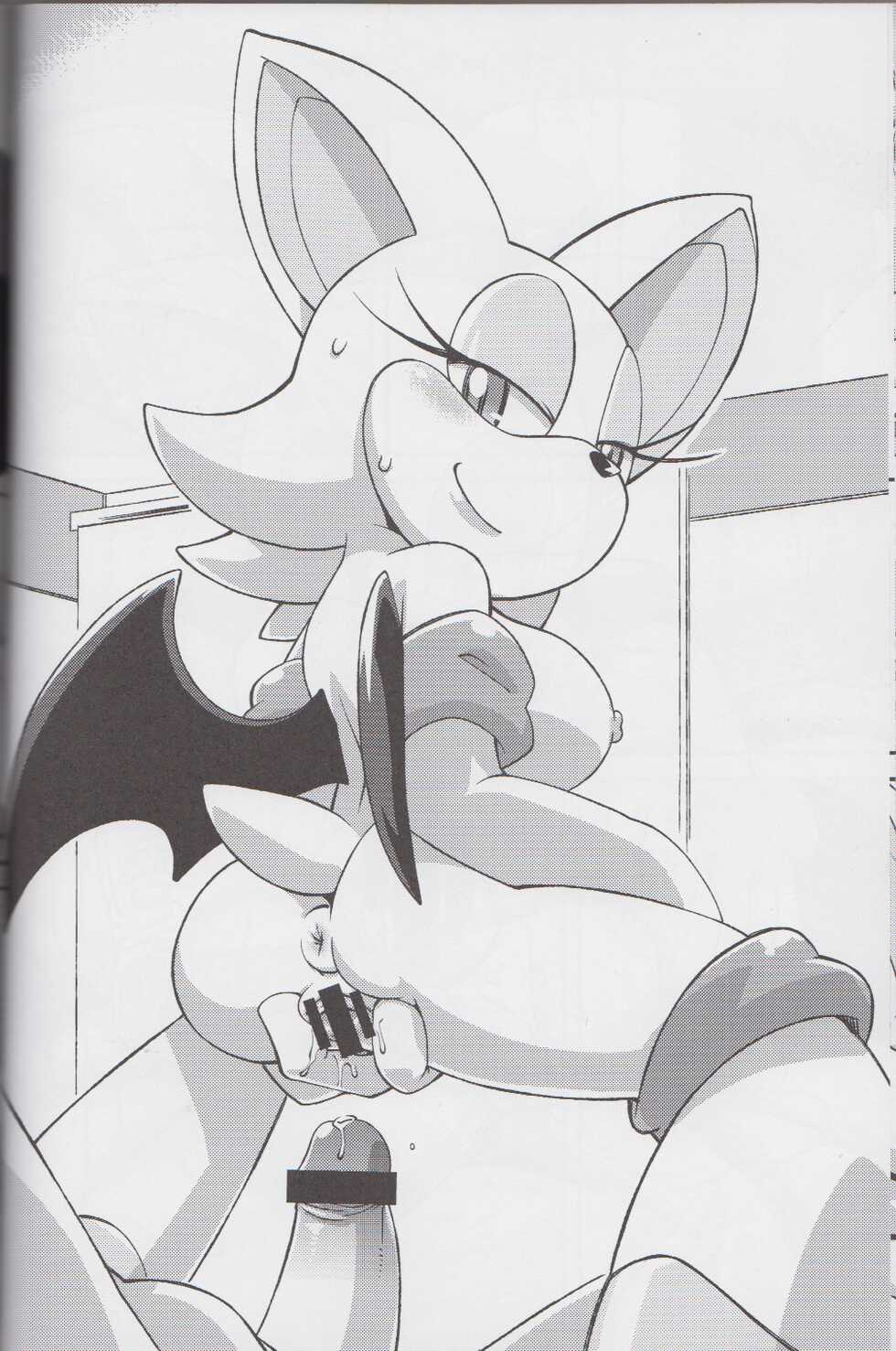 (C85) [Tengai Aku Juumonji (Various)] Ore no Fuyu 2013 | 나의 겨울 2013 (Sonic The Hedgehog) [Korean] - Page 28