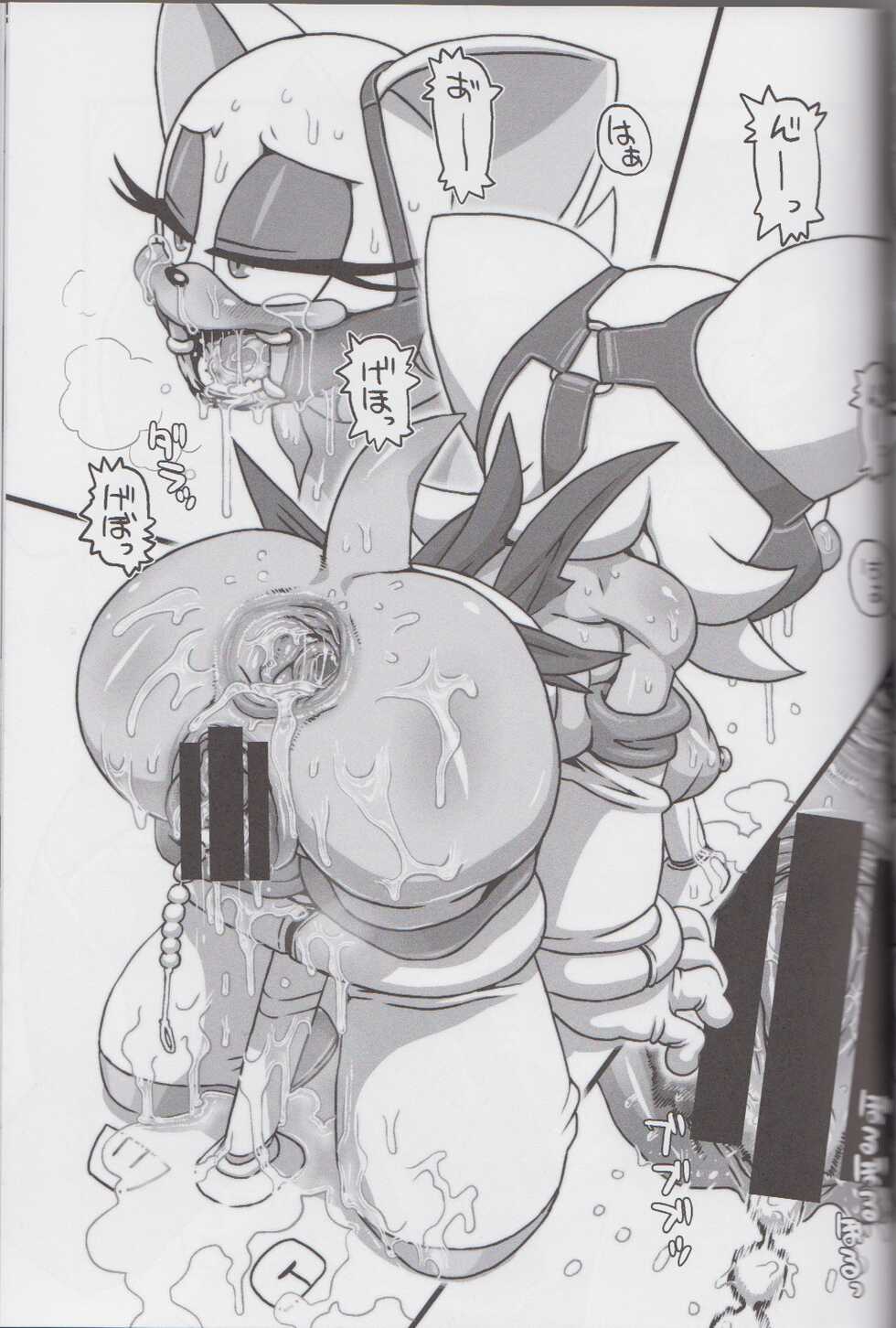 (C85) [Tengai Aku Juumonji (Various)] Ore no Fuyu 2013 | 나의 겨울 2013 (Sonic The Hedgehog) [Korean] - Page 39