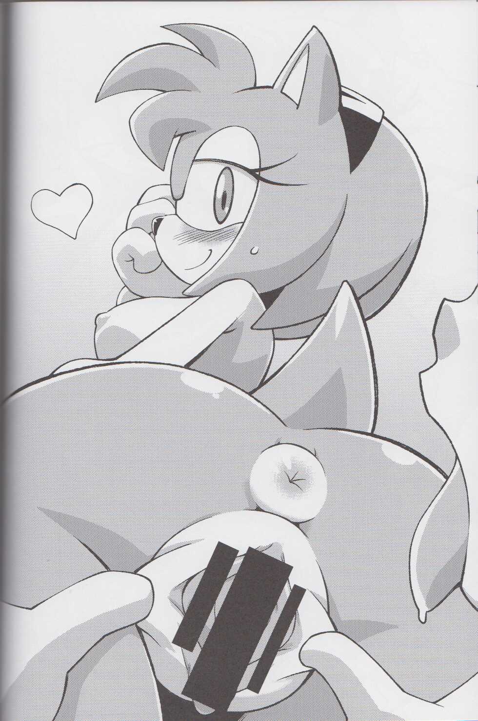(C85) [Tengai Aku Juumonji (Various)] Ore no Fuyu 2013 | 나의 겨울 2013 (Sonic The Hedgehog) [Korean] - Page 40