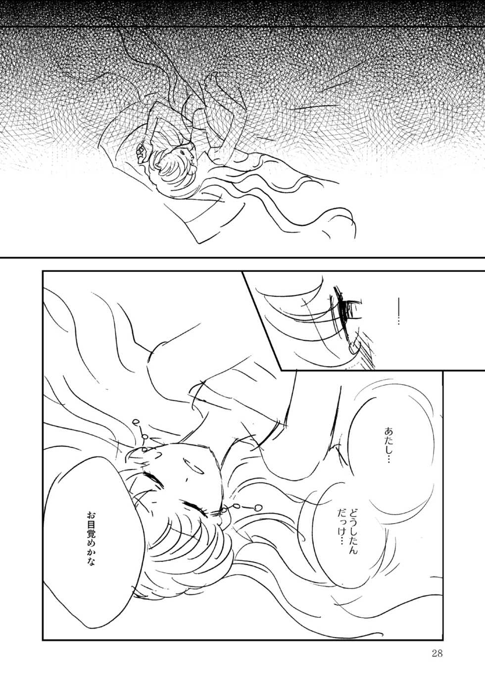 (Gekka Yuusei 6) [Kaiten Chocolate (Bon)] Marionette's Rhapsody (Bishoujo Senshi Sailor Moon) - Page 27