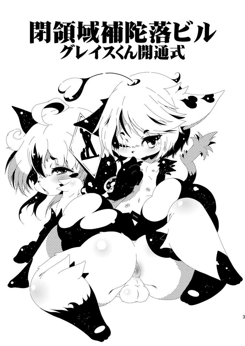 [Minasokomori (Macop)] Heiryouiki Fudaraku Buil Grace-kun Kaitsuushiki [Digital] - Page 3