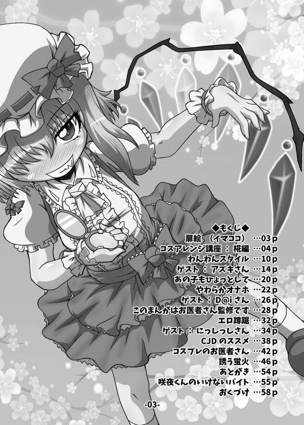[Hydden World (Various)] Touhou CJD Catalog (Touhou Project) [Digital] - Page 2