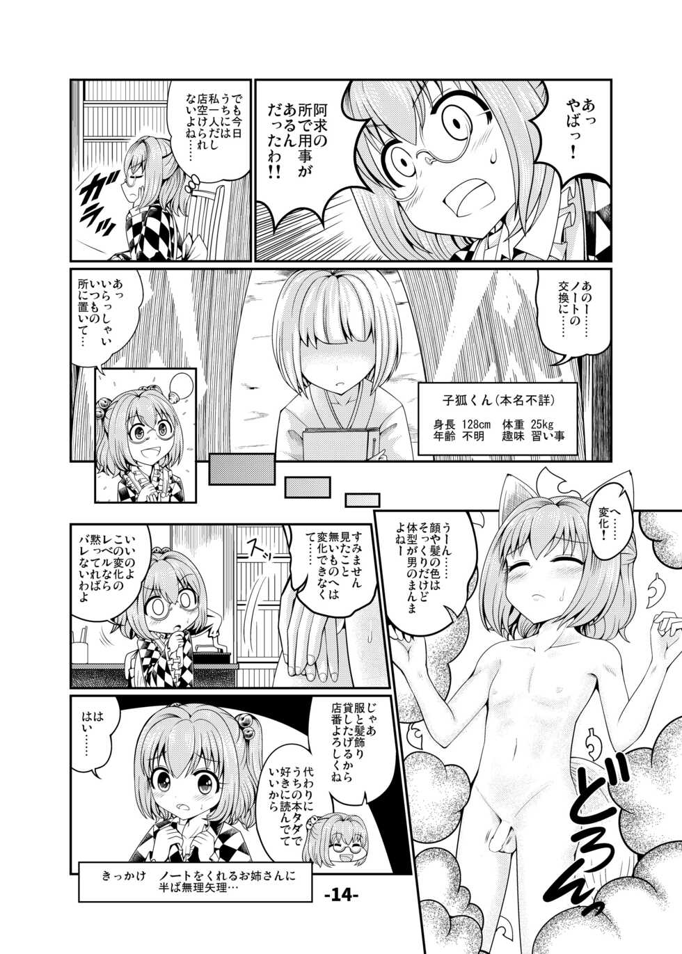 [Hydden World (Various)] Touhou CJD Catalog (Touhou Project) [Digital] - Page 13