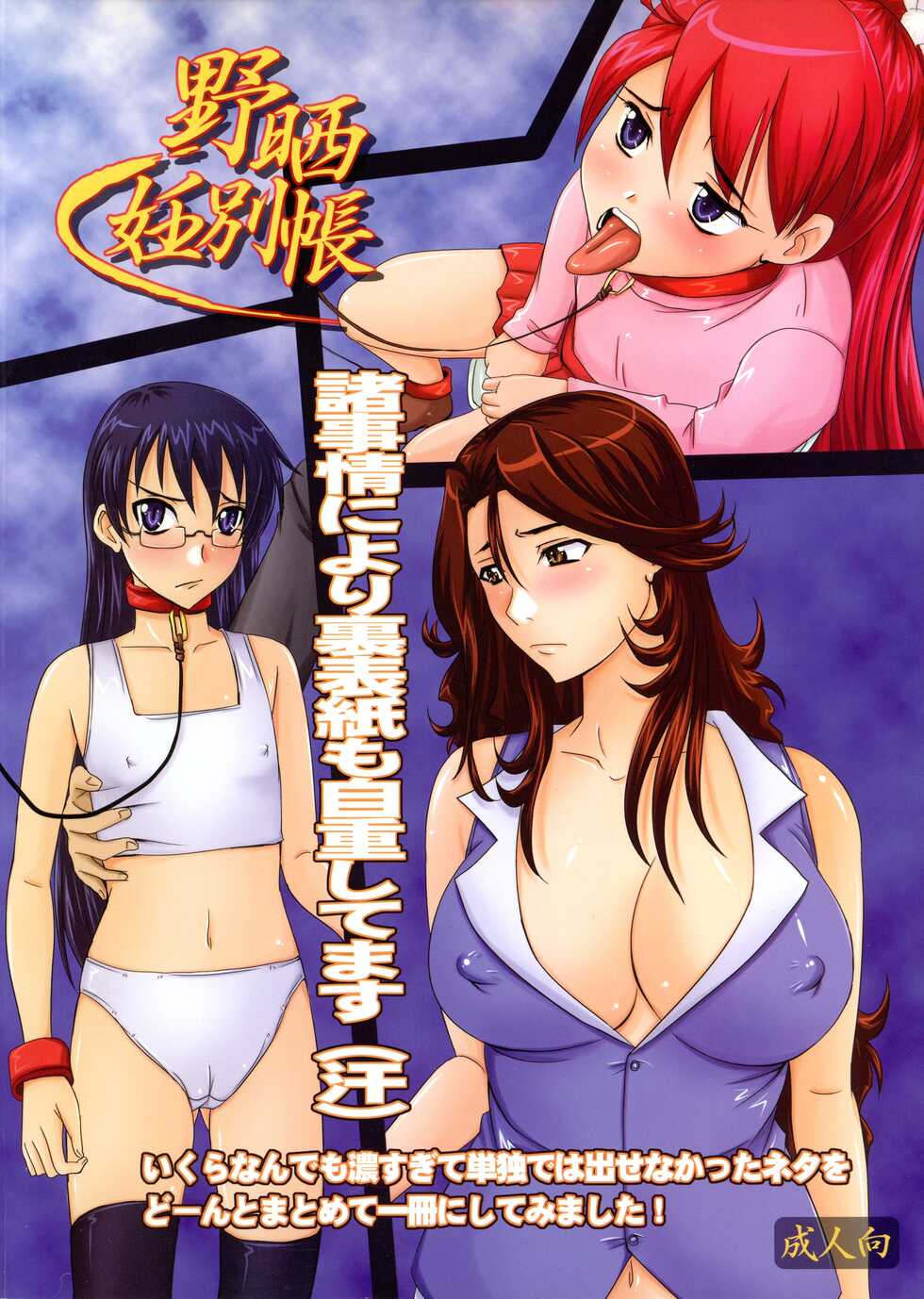 (C76) [Nozarashi (Nozarashi Satoru)] Nozarashi Ninbetsuchou (Various) - Page 2