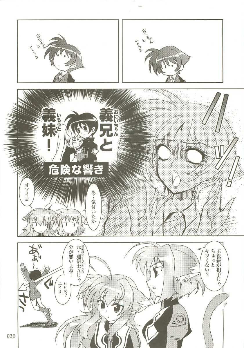 (C73) [PLUM (Kanna)] Mahou Shoujo Magical SEED  Soushuuhen X (Mahou Shoujo Lyrical Nanoha) - Page 35