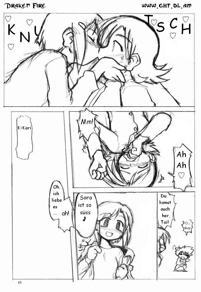 (SC15) [Ukkaridou (Inari Satsuki)] Love Love Funny! (Digimon Adventure 02) [German] [Draken Fire] [Incomplete] - Page 13