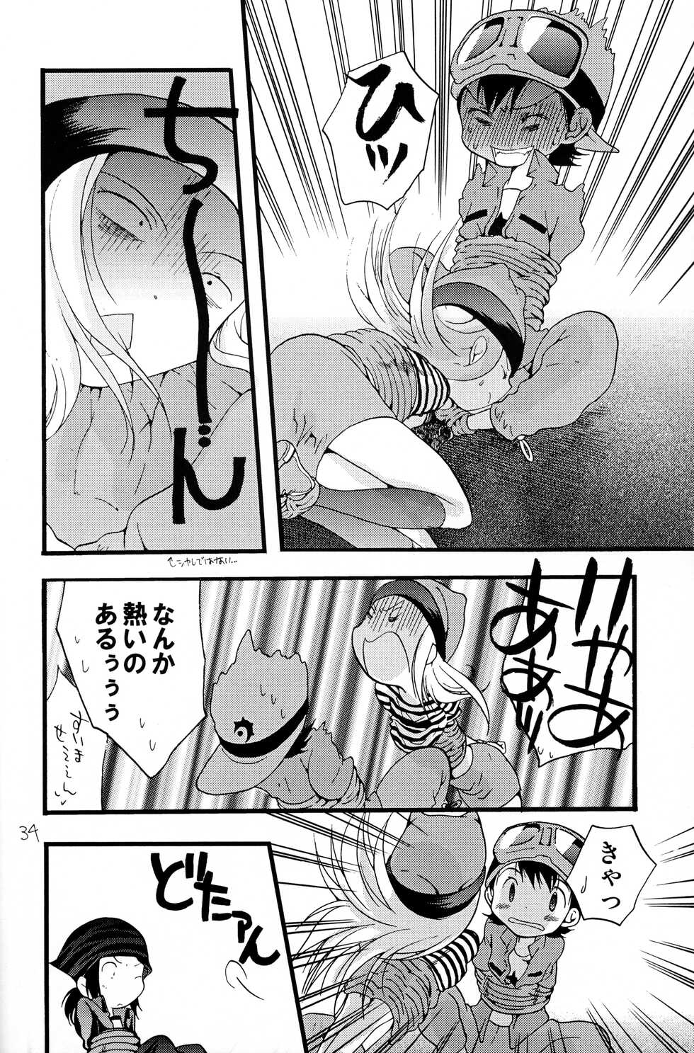 (C62) [Tomato Surprise (Futtsu Misaki)] Your Eyes Only (Digimon Frontier) - Page 33